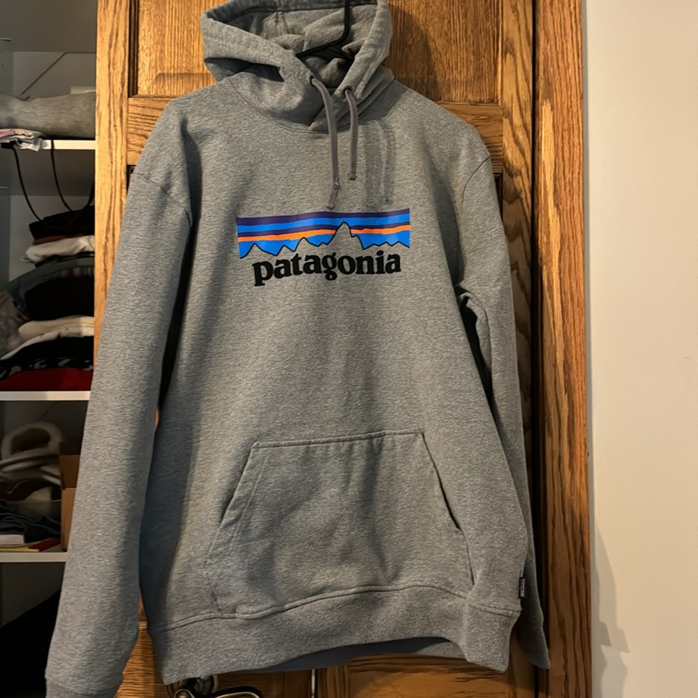 Patagonia Hooded Sweatshirt